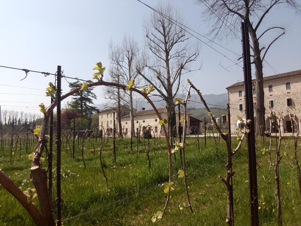 Agriturismo La Bella Follina Ngoại thất bức ảnh